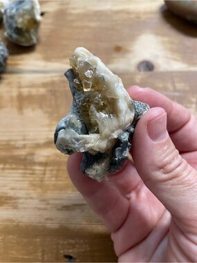 Cream and Gray Mineral Specimen - Florida calcite crystals in seashell fossil